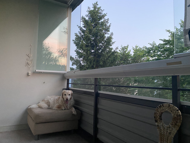 F374728-A-B635-4-BB0-B119-EA8685-F04-A2-