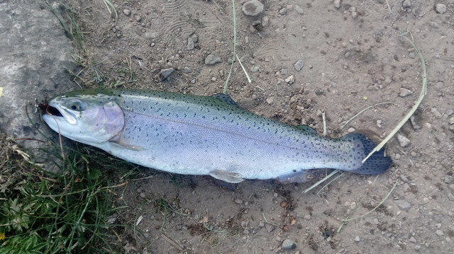 0705171921