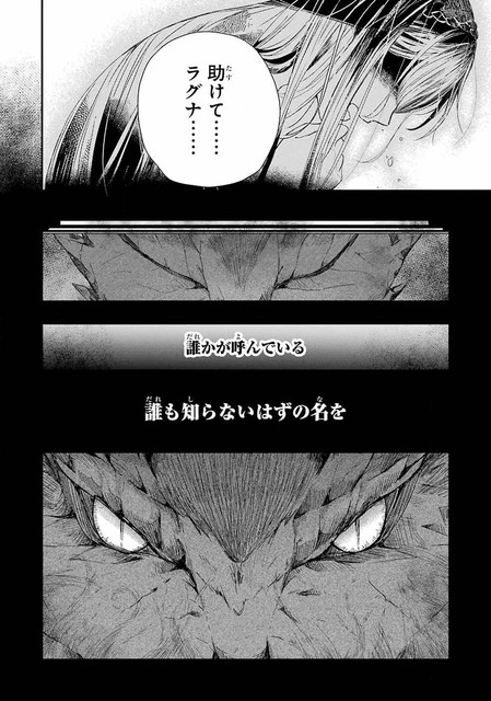 DLRAW-NET-005