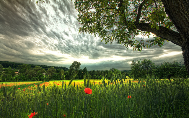 spring-058