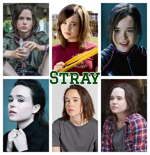 stray