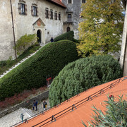 IMG-2877
