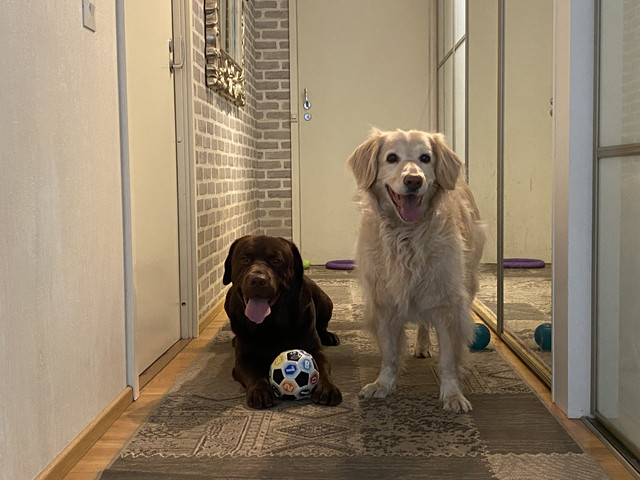 F53-AEFD5-3-B8-F-441-B-8-D46-308-D1-AEF5