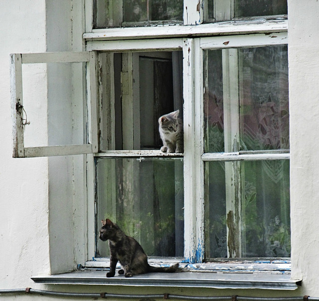 IMG-5637-5