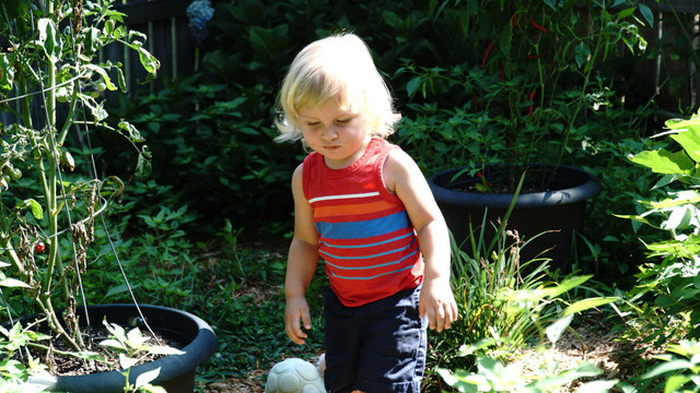 DSC08028.jpg