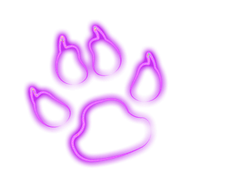 ueya.png