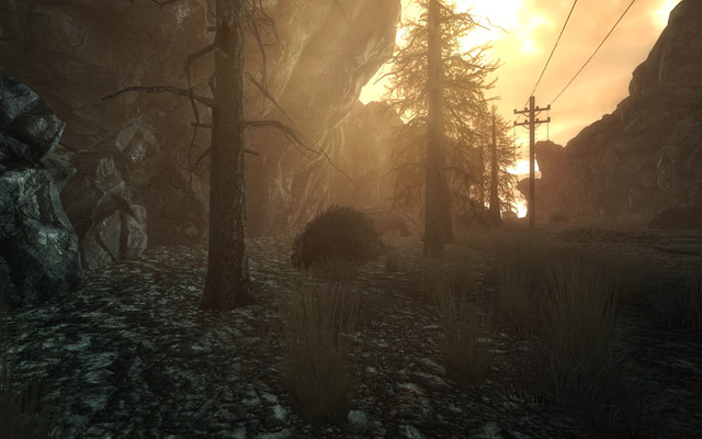 Screen Shot77