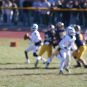 IMG-3106