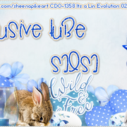 Salsa-Easter-Exclusive-Tube