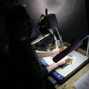 IMG-8608