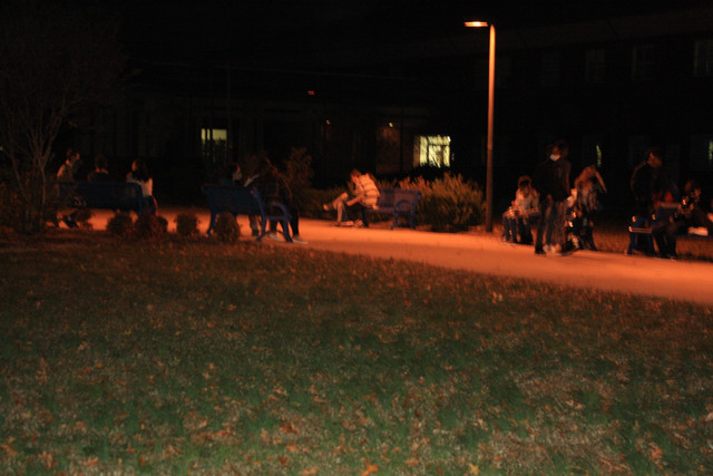 IMG-8447