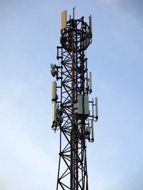IMG-4397
