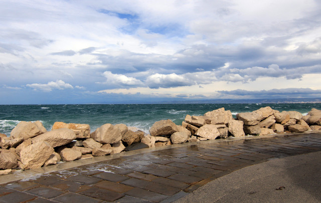 IMG-9829.jpg