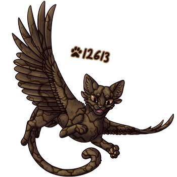 Pet Image