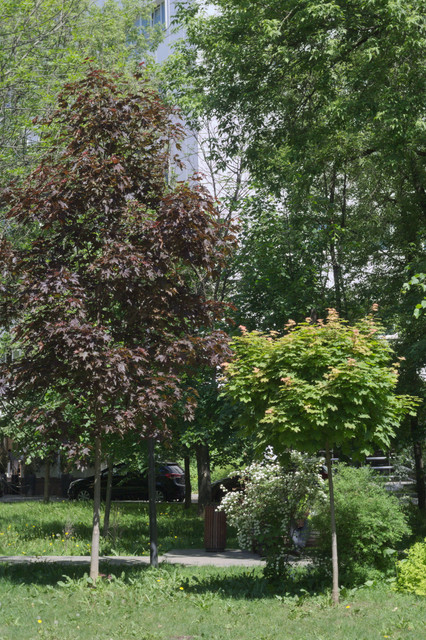 DSC3878.jpg