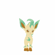 Leafeon-idle1.gif