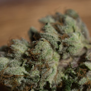 DSC 6593