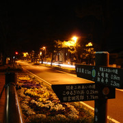 2009-03-24-85