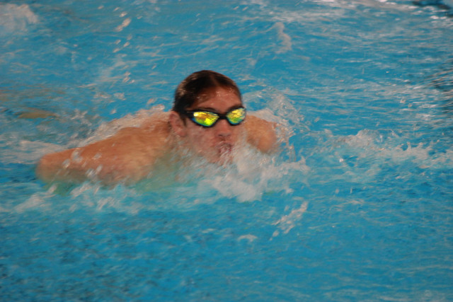 IMG-0336