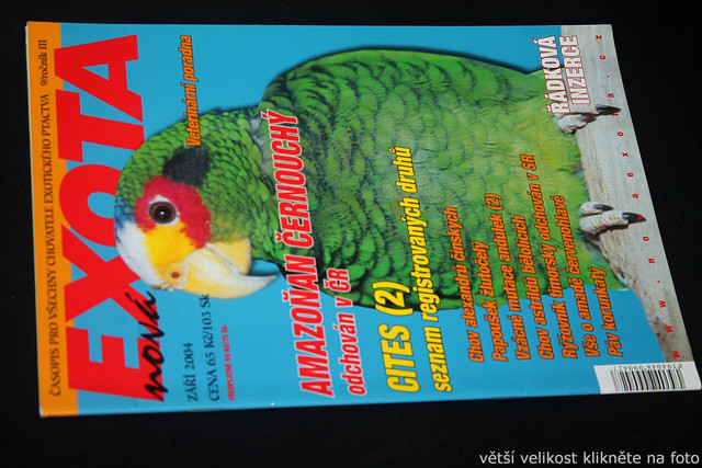 IMG-7779