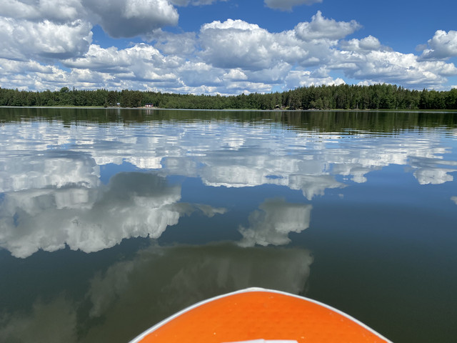 AE48131-D-7-CE7-411-C-806-A-76-EE693-EB8