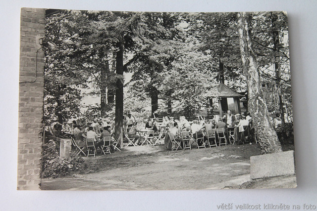 IMG-7019