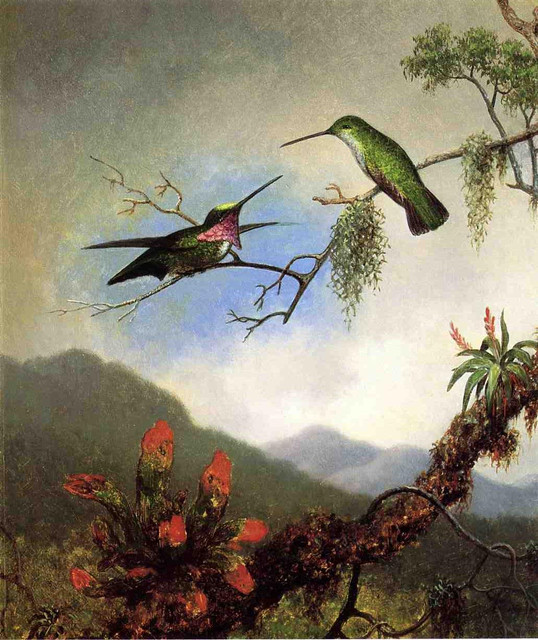 Amethyst-Hummingbirds