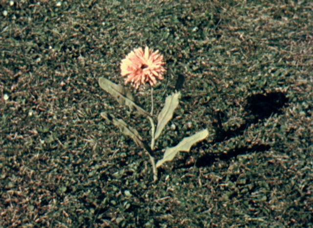 Movie cover image