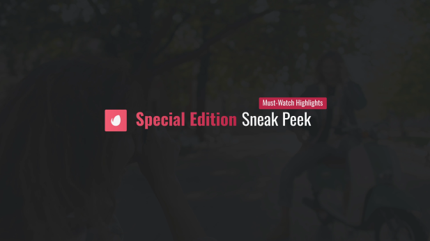 Professional Logo Lower Thirds Set Professional Logo Lower Thirds Set