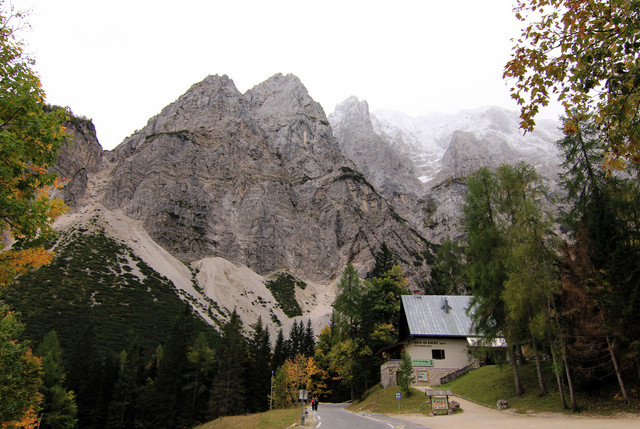 IMG-0229