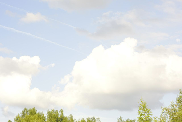 DSC5364-result.jpg