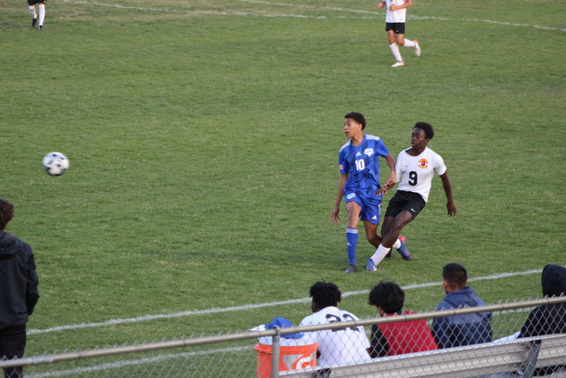 IMG-0029