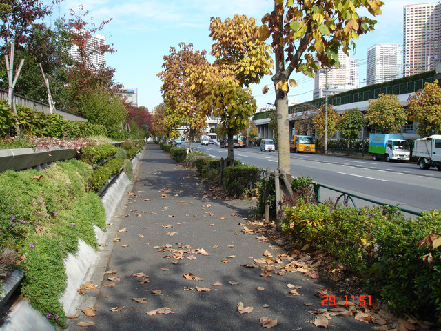 2008-11-29-303.jpg