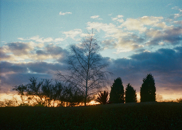 Sunset-crop