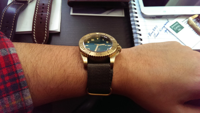 IMAG0533.jpg