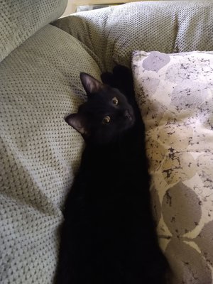 Cute eyes