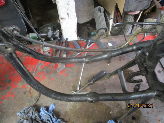 IMG-8834.jpg