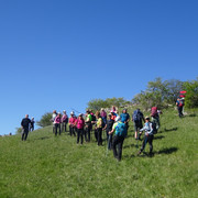 DSC04820