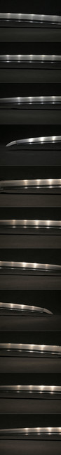 DSC1485