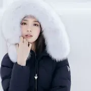 suzy actrice 1308941