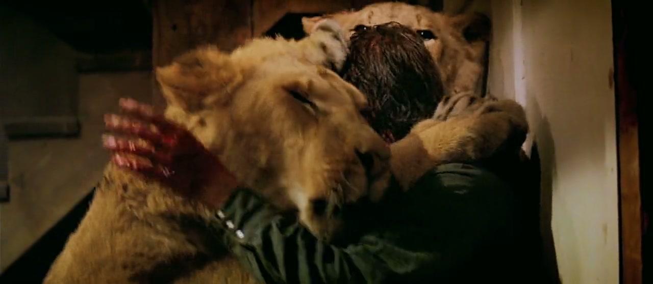 Roar Screenshot
