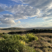 IMG 0409