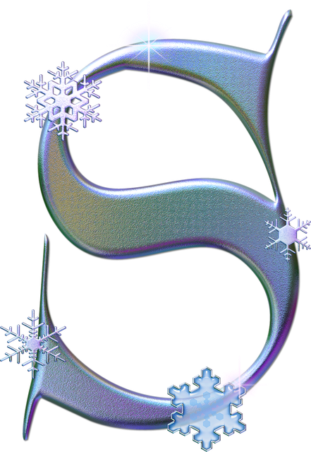 S 541697