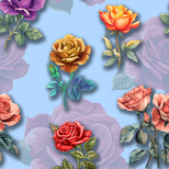 Untitled 1 (1).png