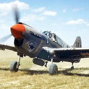 P 40 Tunisia
