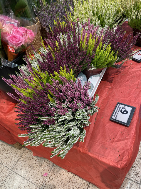 AB3-E31-AF-93-B1-4093-AAF2-57-E8-CD28-F0