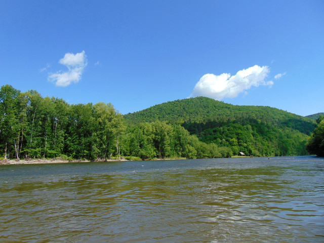 DSC05973.jpg
