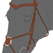 suitset4 4 2