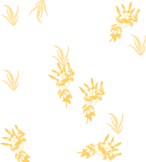 Untitled 9.png