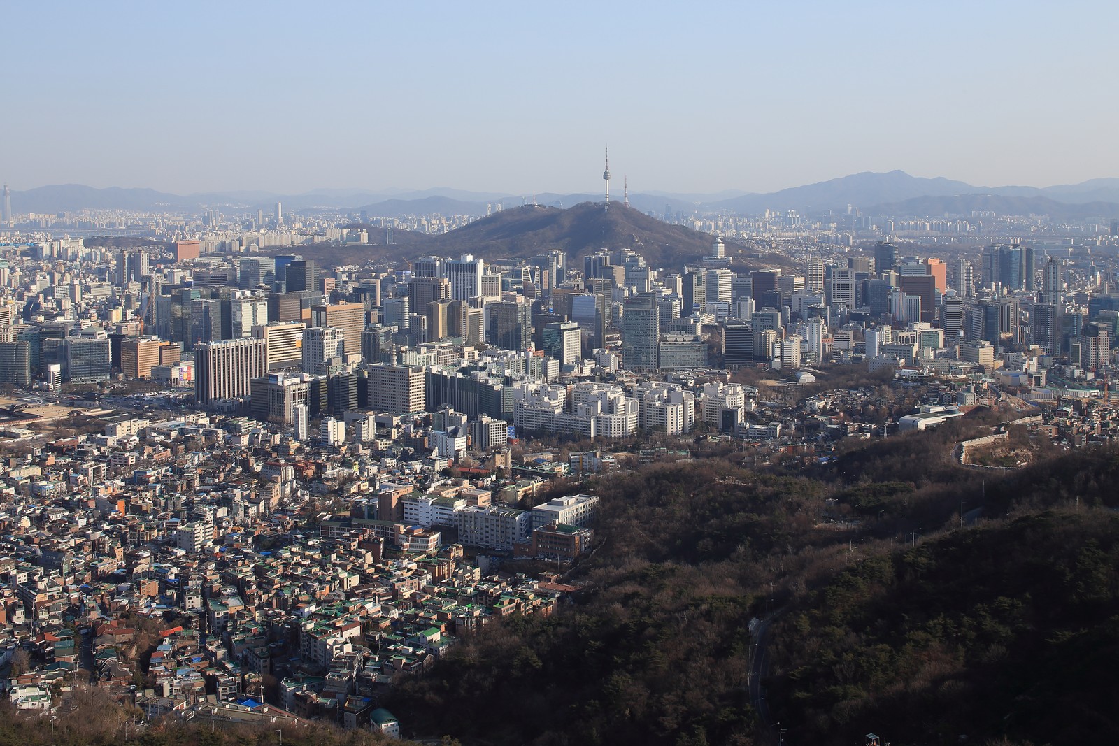 본문이미지